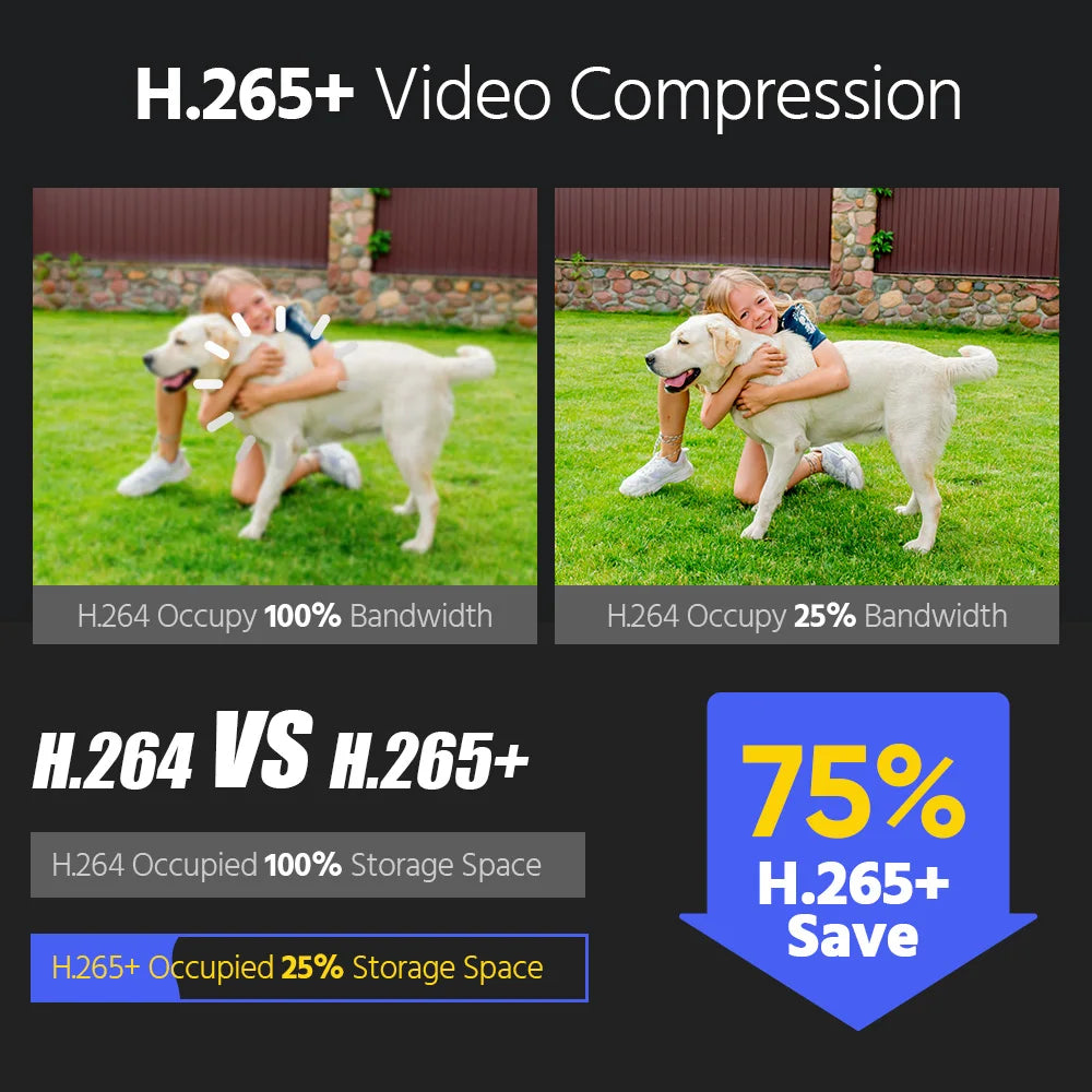 ANNKE 12MP Outdoor Smart Dual Light PoE Security Camera Color IR Night Vision Built-in Microphone IP67 Smart Home H.265+