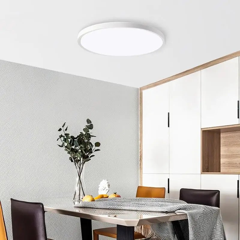 11.8 inch Ultra-thin Flush Mount LED Ceiling Light 6500K for Bedroom, Bathroom, Hallway and Living Room